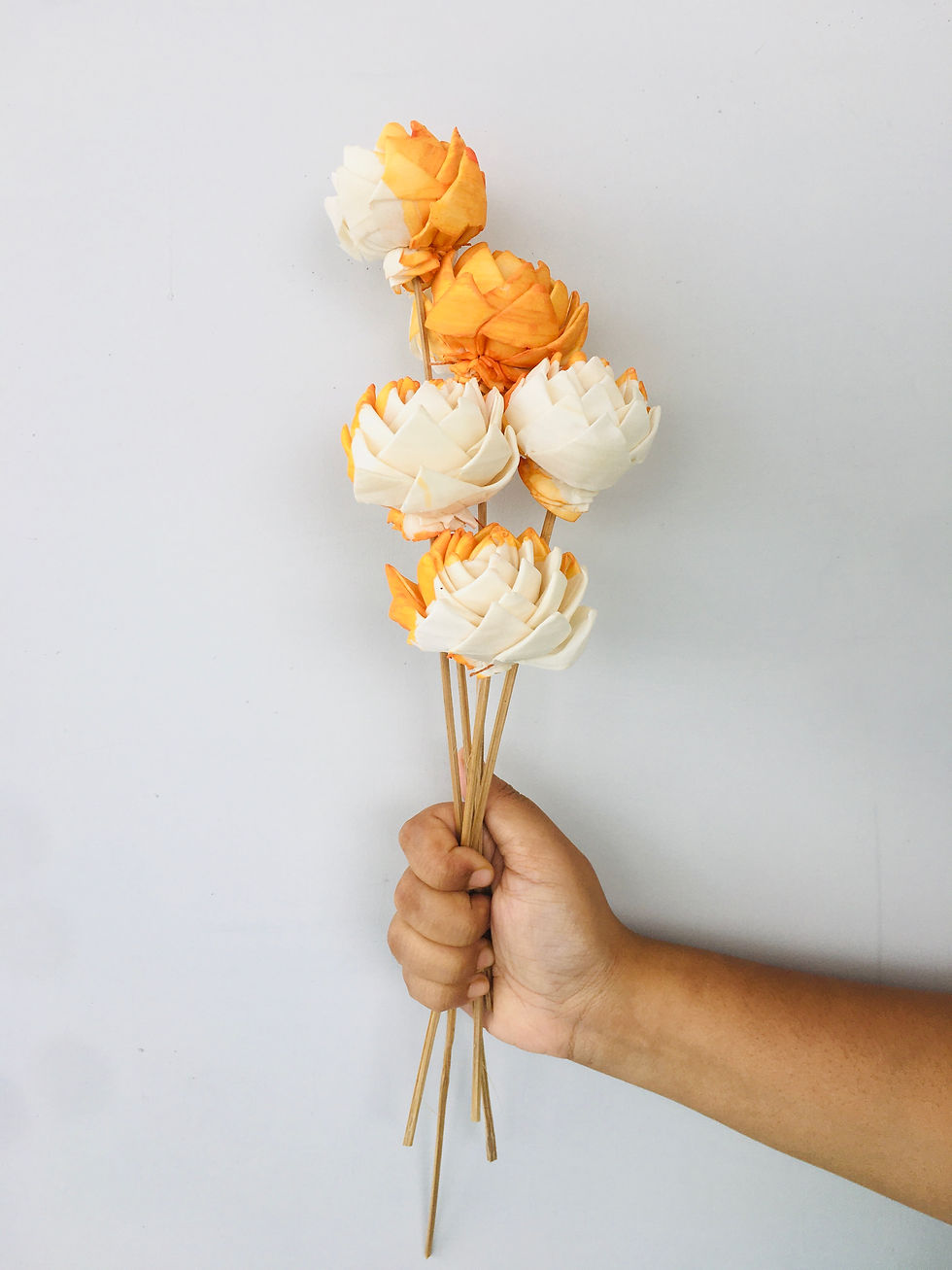 Thumbnail: Ochre Sola Flower (5pcs)
