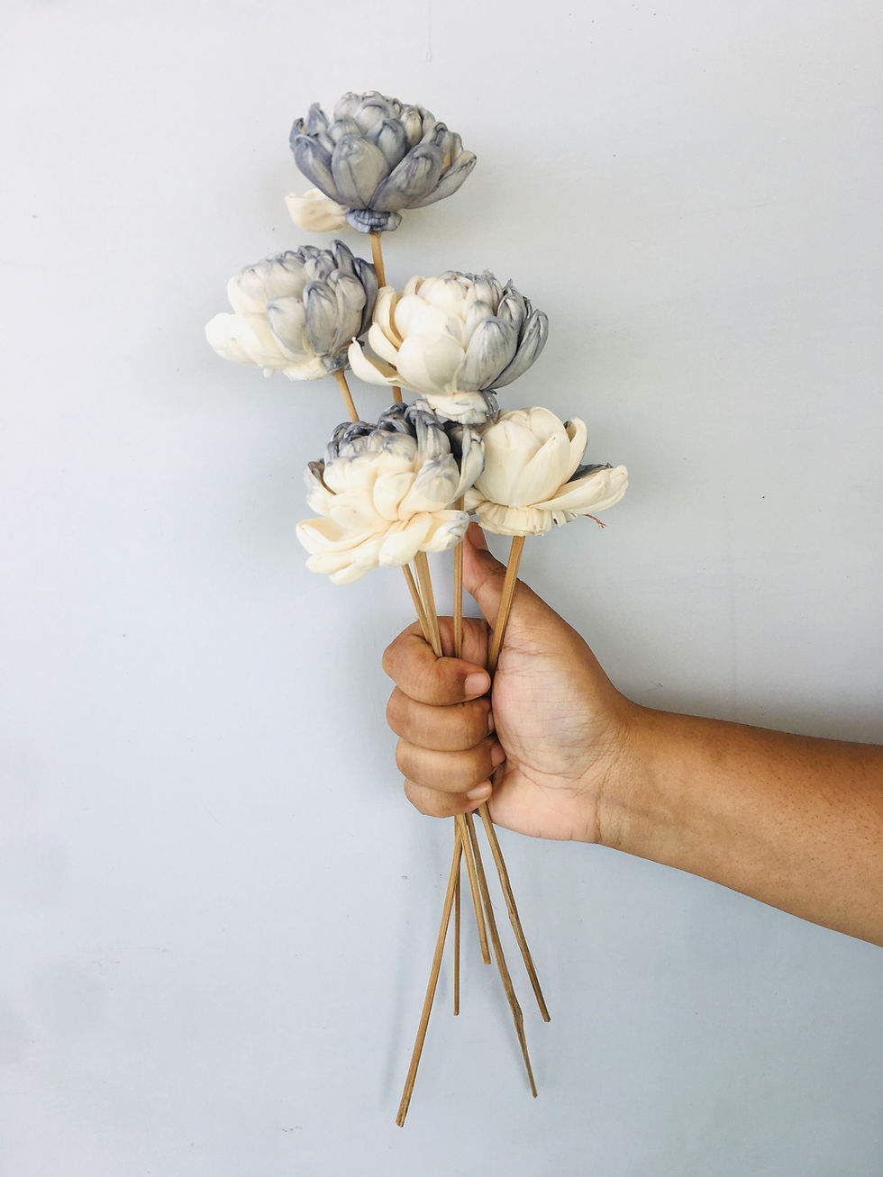 Thumbnail: Grey Owl Sola Flower (5pcs)