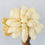 Thumbnail: CORN HUSK FLOWER Set of 2