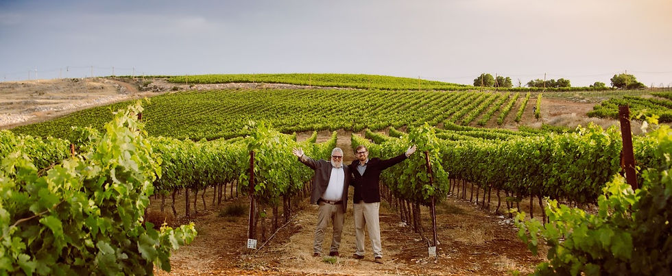 Tommy & Zac Waller in the vineyards of Har Bracha, Samaria