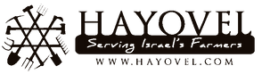HaYovelLogo.png
