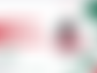 convocatoria asamblea anual ordinaria 