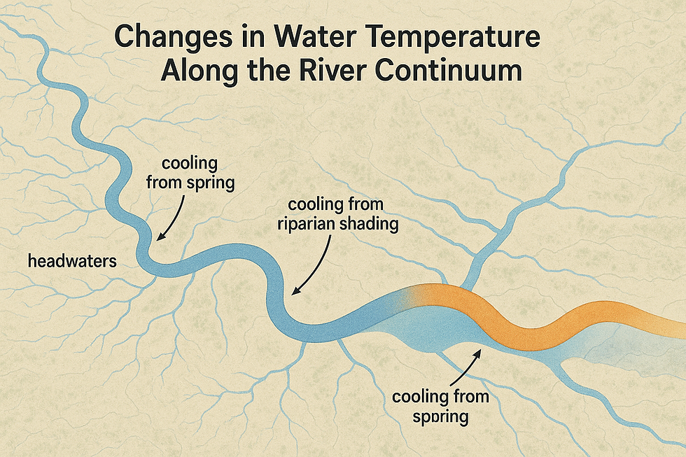 Map showing river temperature changes. Blue and orange paths indicate cooling effects from springs and shading. Text: "Changes in Water Temperature Along the River Continuum."