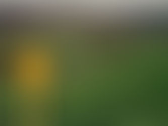 What Controls Maximum Trout Size?