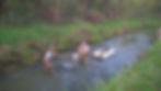 Electrofishing on Mormon Coulee Creek