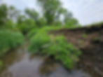 A small creek flows between lush green banks, bordered by a wire fence and eroded soil. Trees in the background under a cloudy sky.