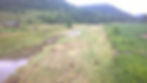 Post-flood grass