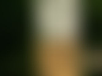 Fishing Just a Bit Off the Beaten Path