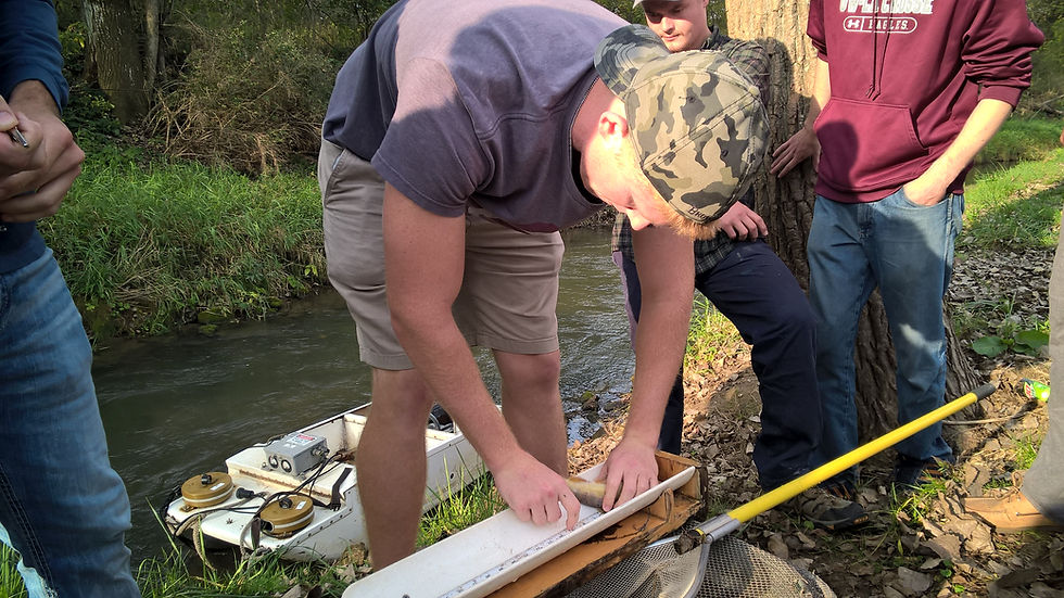 Measuring - and counting - fish on Mormon Coulee Creek.