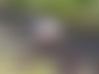 Styles of Flies: Realistic to Impressionistic and Everything In-Between