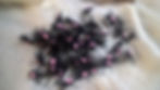 Cricket fly pattern