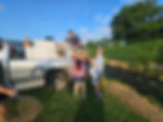 People transfer fish from a truck using nets by a stream. Bright sky, green grass, and trees in the background. Emotive and collaborative scene.
