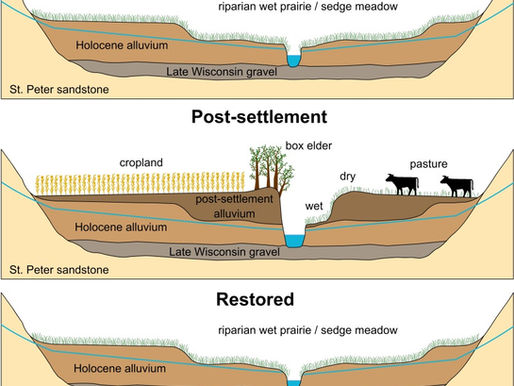 Driftless Stream Corridors - From Past to Present