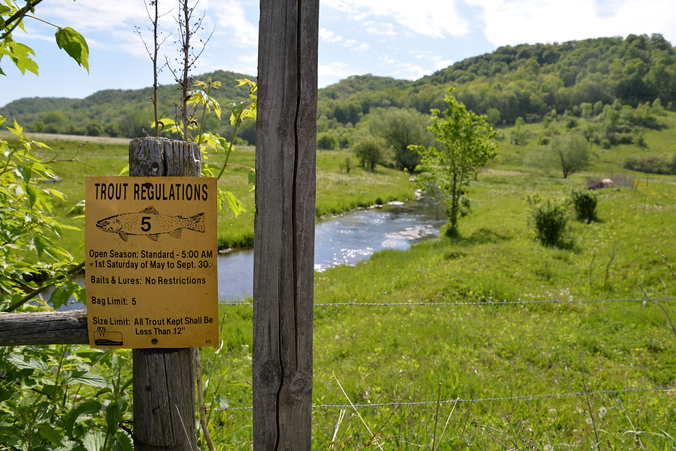 Old trout regulation sign