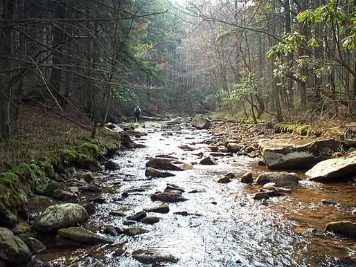 The River Continuum Concept