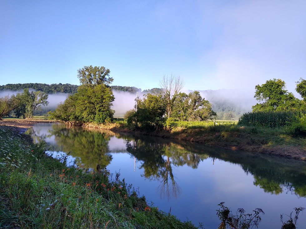 West Fork morning fog