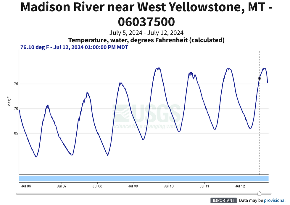 Graph of Madison River water temperature near Yellowstone, MT, from July 5-12, 2024, showing cyclical peaks. Max temp: 76.10°F on July 12.
