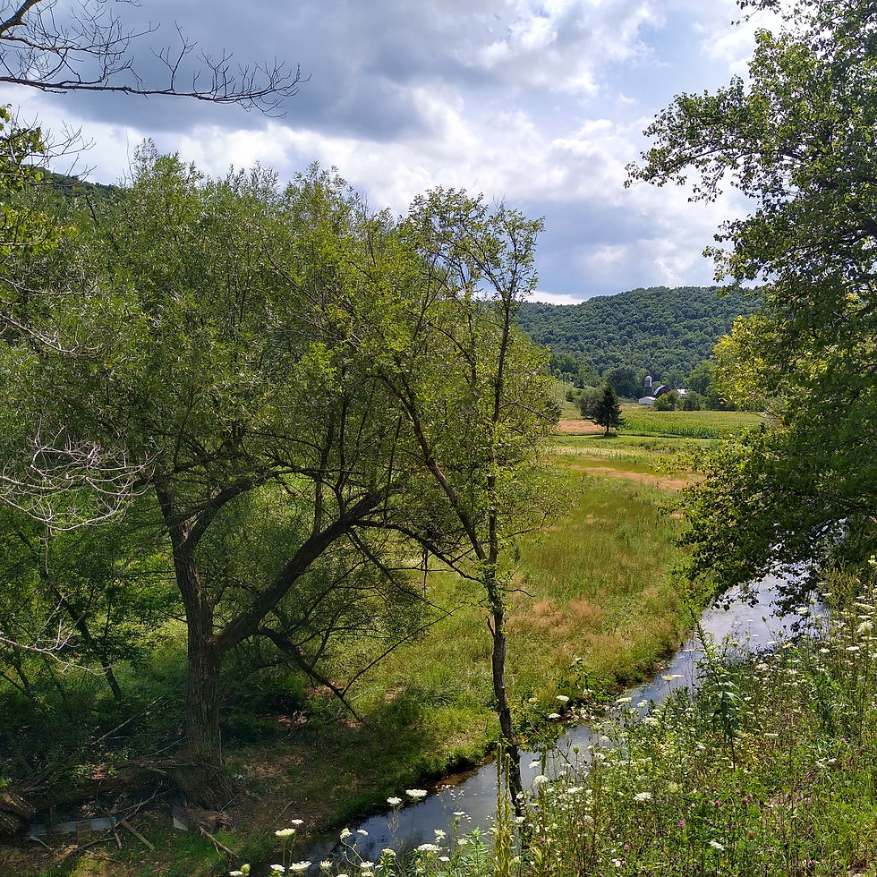 A Driftless view