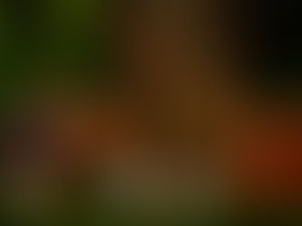 Fly Rods - Law of Diminishing Returns?