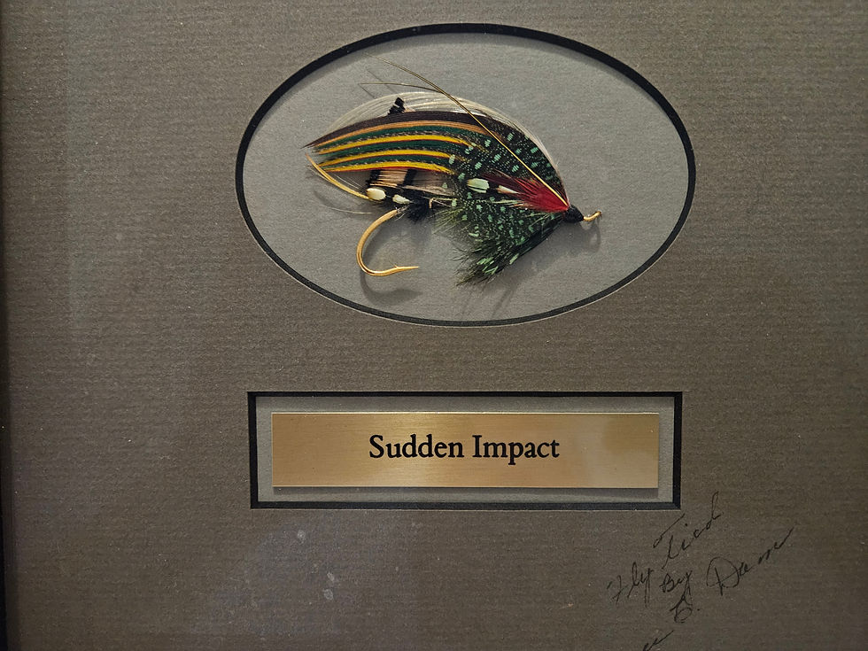 Royce Dam tied fly