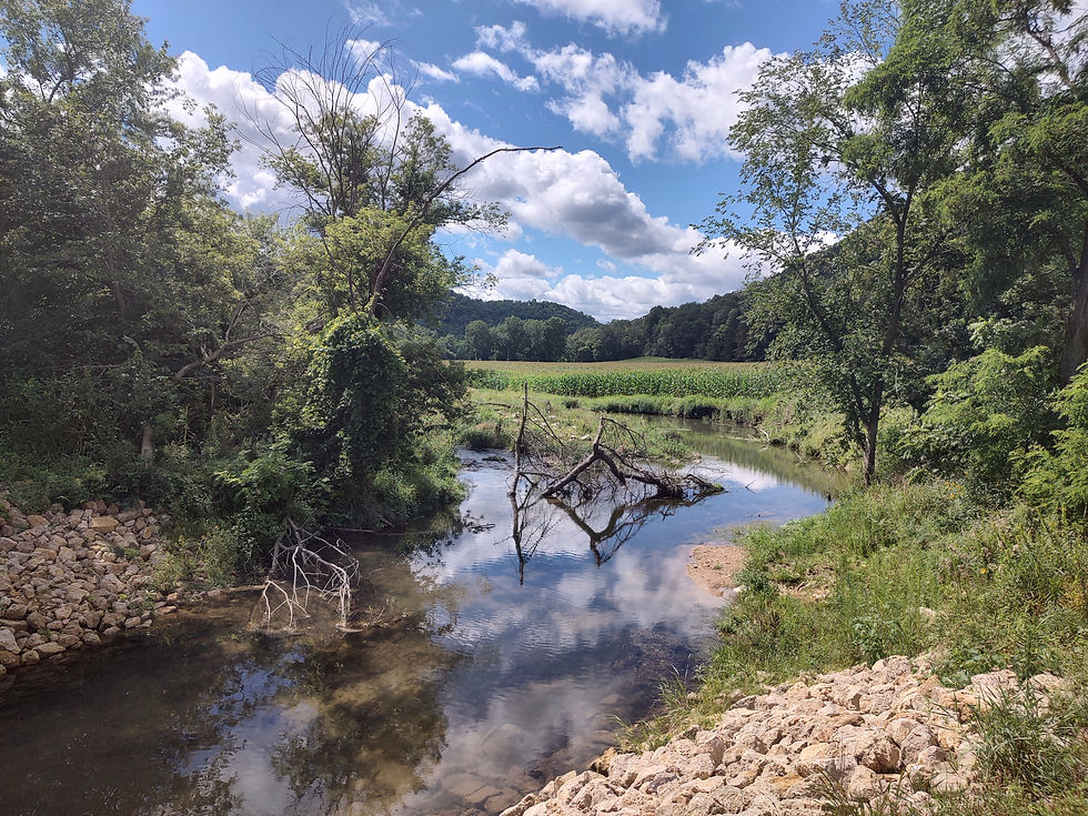 Driftless stream