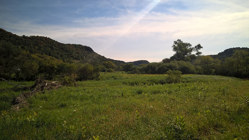 Open meadow stream