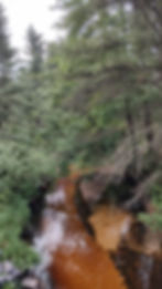 Central Driftless sandbed stream