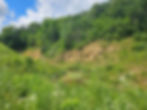Lush green landscape with rocky hillside, wildflowers, and blue sky with clouds; serene and natural setting.