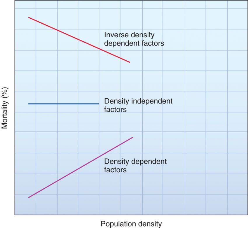 DensityDependent and DensityIndependent Population Regulation