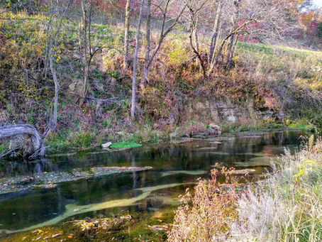 World Class Fisheries - The Driftless Area