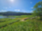 Sunlit landscape with a grassy field, distant trees, and a river under a blue sky. A path and a sign are visible. Calm and serene.