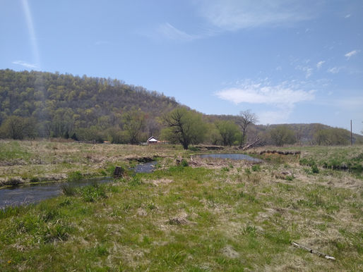 Opening Weekend, 2021