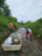 Two people in waders work in a lush, green stream with a white equipment crate. One crouches with hands in water. Overcast sky above.