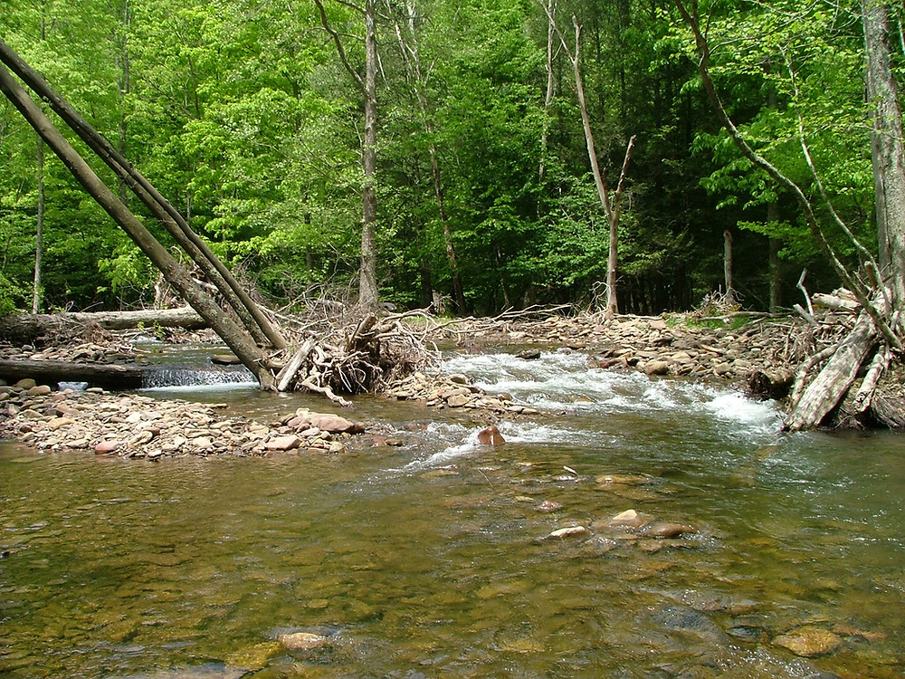 Most Memorable Days of Fishing