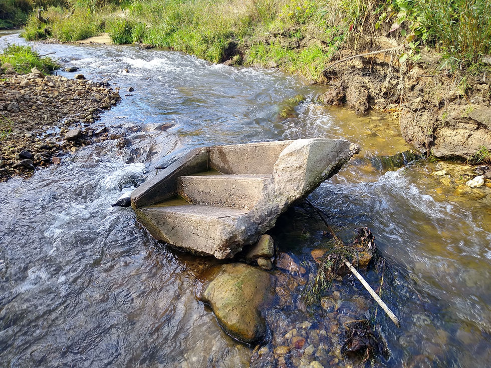 Interesing flood debris