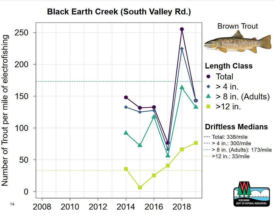 Black Earth Creek trout populations