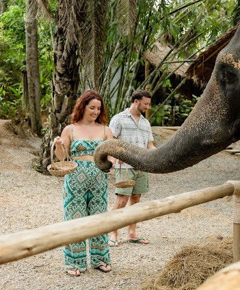 Elephant extending its trunk toward visitors holding food beside a wooden railing in Khao Sok
