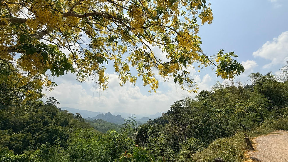 view khao sok national park