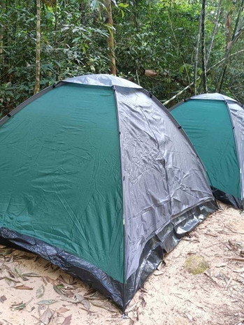 Green dome tent pitched on a sandy clearing inside the Khao Sok forest