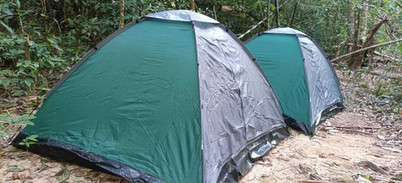 Two green camping tents set up on bare ground beneath the Khao Sok forest canopy