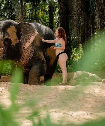 Visitors washing an elephant as water splashes around its body in Khao Sok