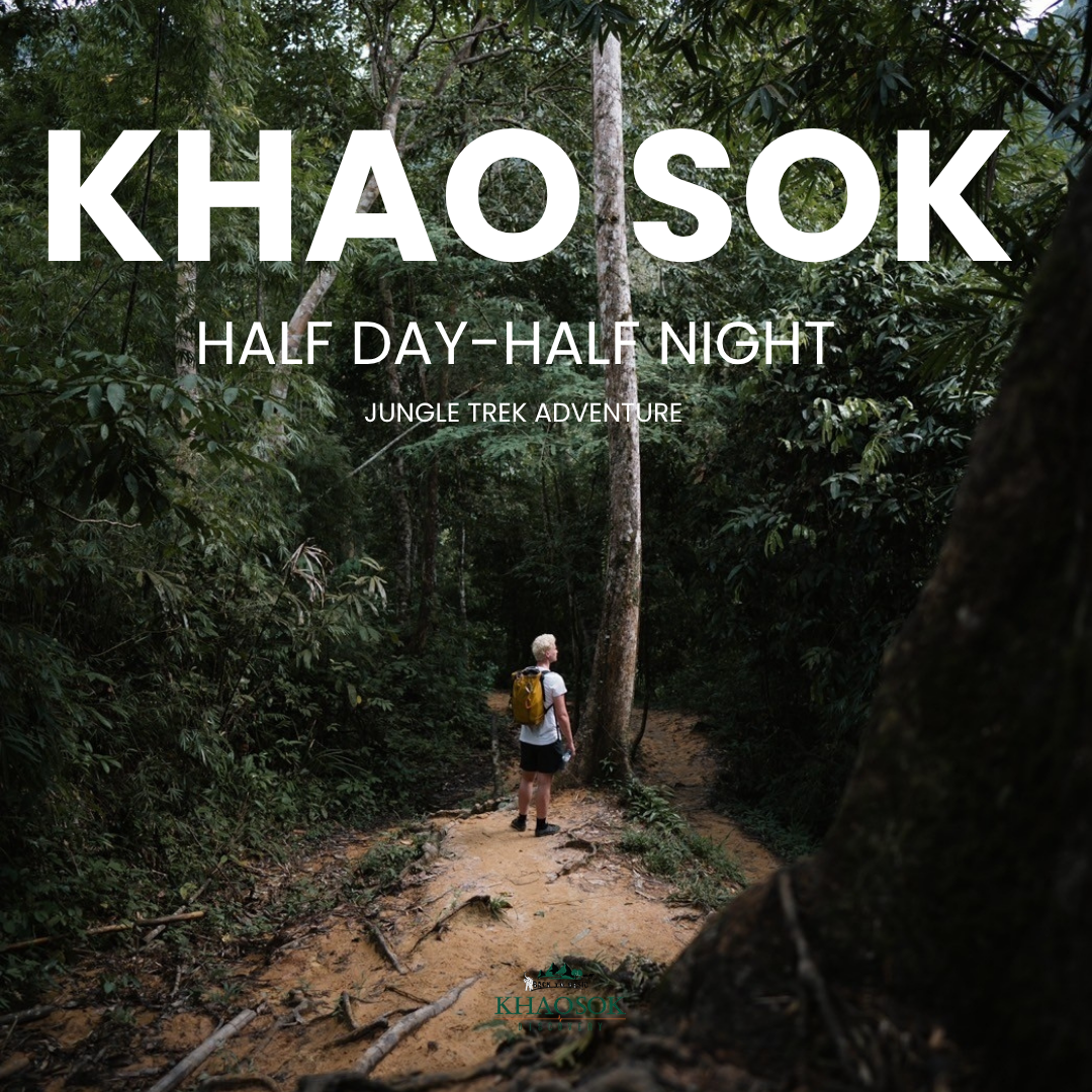 EX-06 HALF DAY-HALF NIGHT JUNGLE TREK ADVENTURE