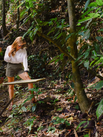 Travelers trekking along a tropical rainforest trail in Khao Sok