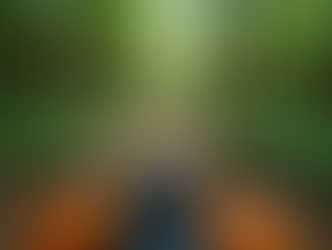 Khao Sok ATV Adventures and Trekking: Your Ultimate Nature Escape