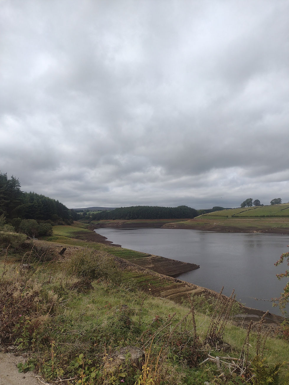 Thruscross Reservoir