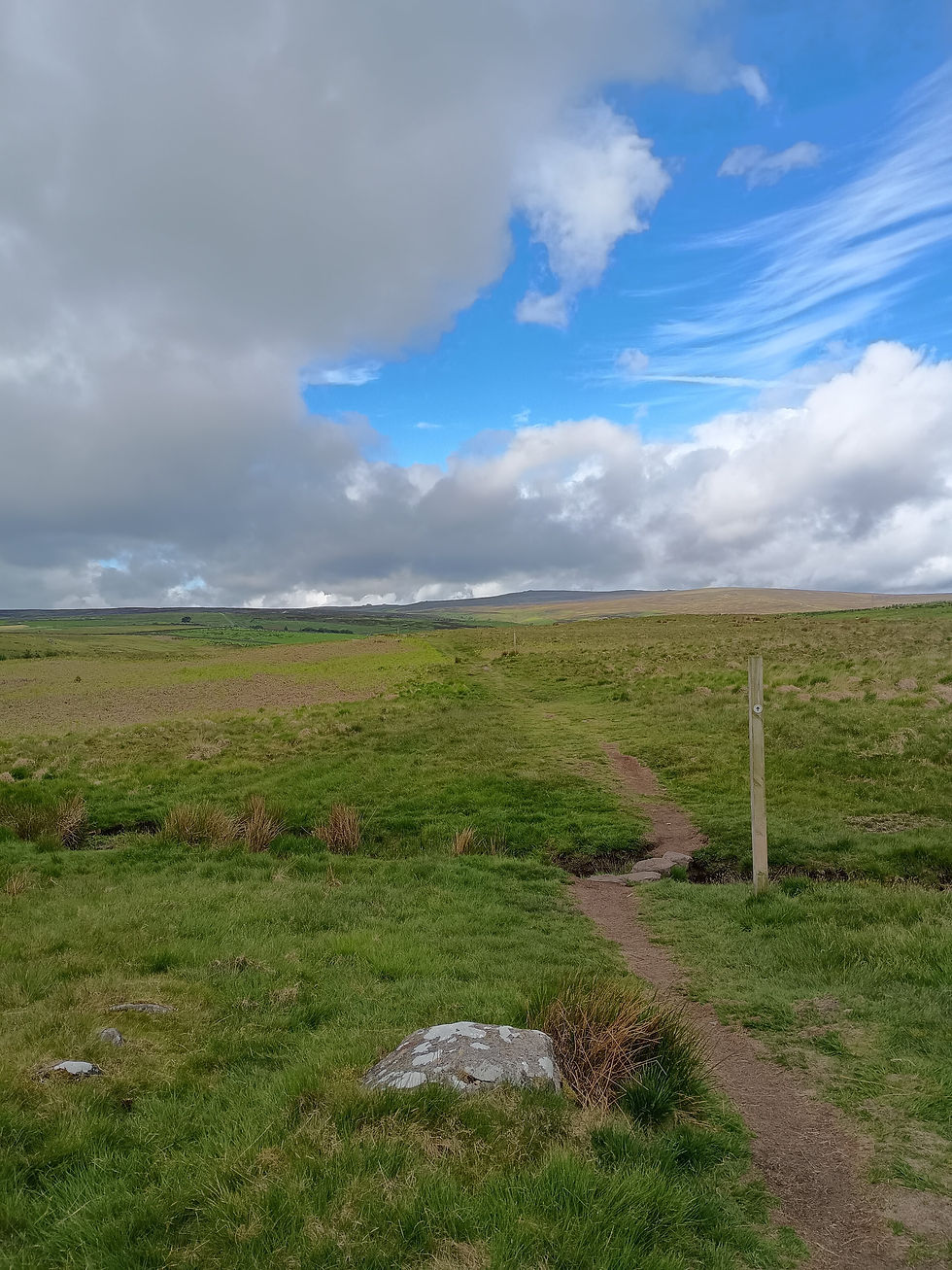 On the top of the Moor they had to build poles so that folks would know where the trail is. Even on a sunny day this is a windy and cool location