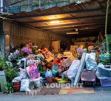 Cluttered Property & Hoarding Cleanouts YOUPOINT Removal Hauling Services .png