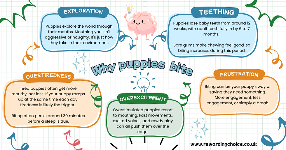 A diagram explaining the reasons why puppies bite