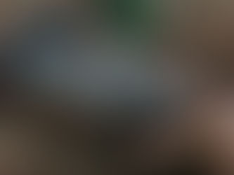 Human Technology - Beretta