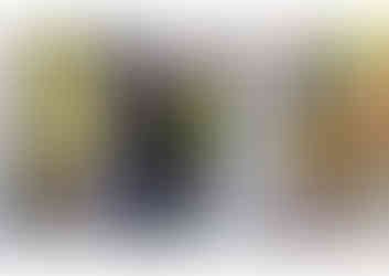 9. BX1 - Elisabeth Burdot Prize